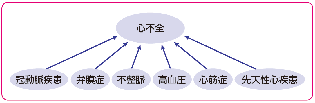 図1 慢性心不全の原因疾患