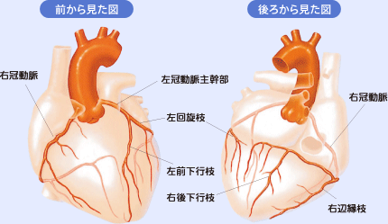 前からみた図、後ろからみた図