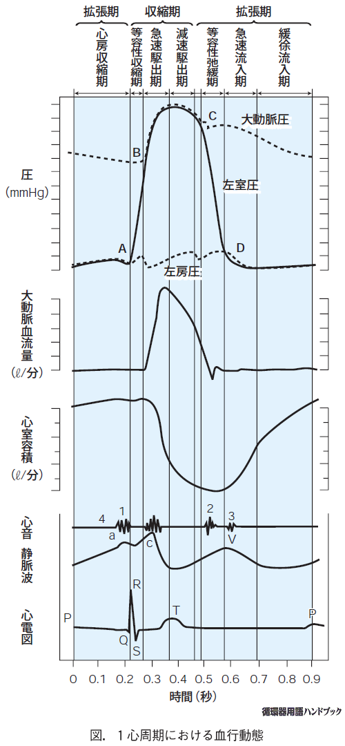 1心周期における血行動態