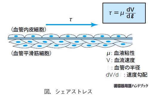 シェアストレス