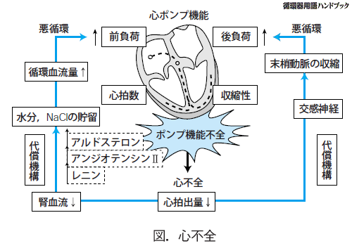 心不全