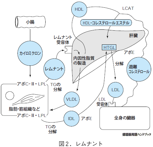 レムナント