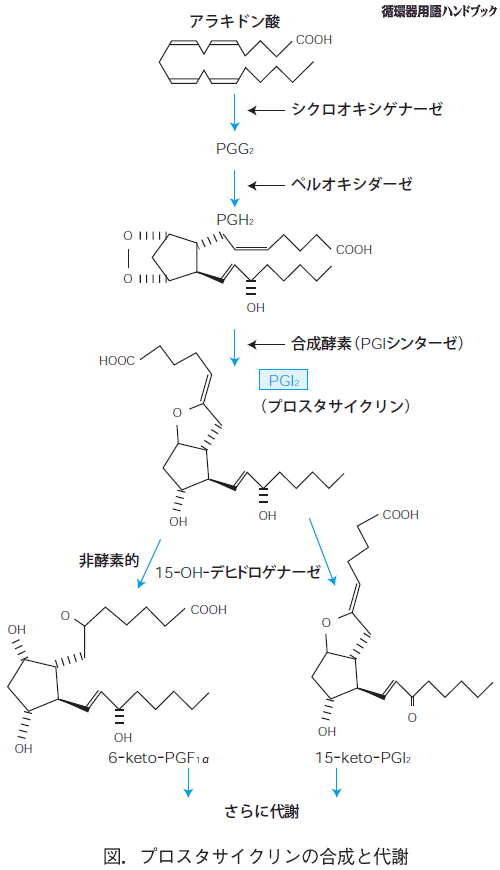 プロスタサイクリンの合成と代謝