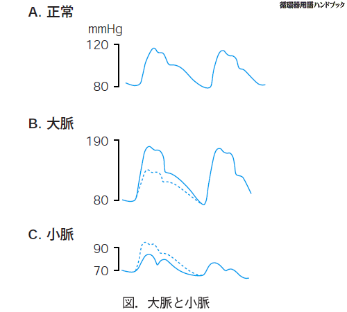 大脈と小脈