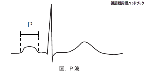 P波