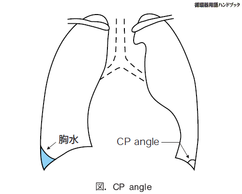 CP angle