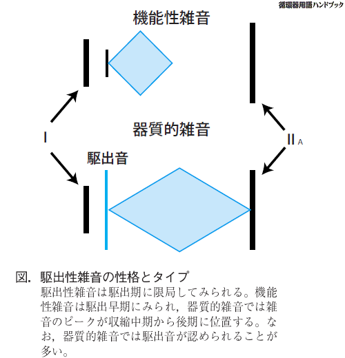 駆出性雑音の性格とタイプ