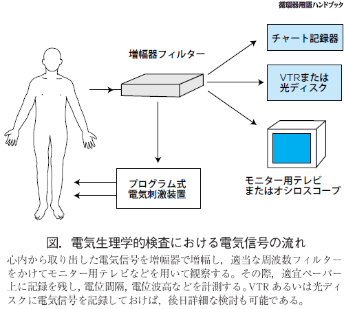 電気生理学検査における電気信号の流れ
