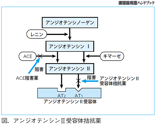 アンジオテンシンⅡ（AⅡ）受容体拮抗薬