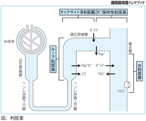利尿薬