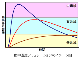 血中濃度シミュレーションに基づいた処方設計
