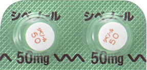 pikl-cibt050-11.jpg