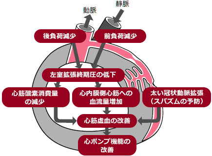 ISDNの作用機序の模式図
